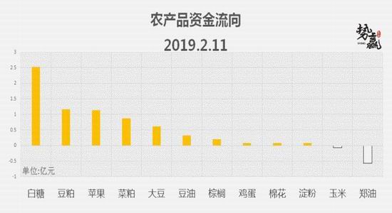 海南天气预报查询评测2