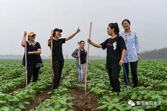 吉林省长春市农安县天气评测1