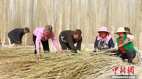 依安天气介绍