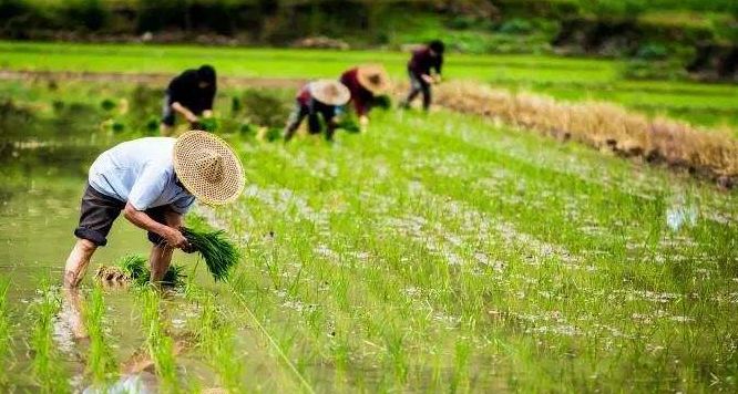 秦皇岛天气介绍