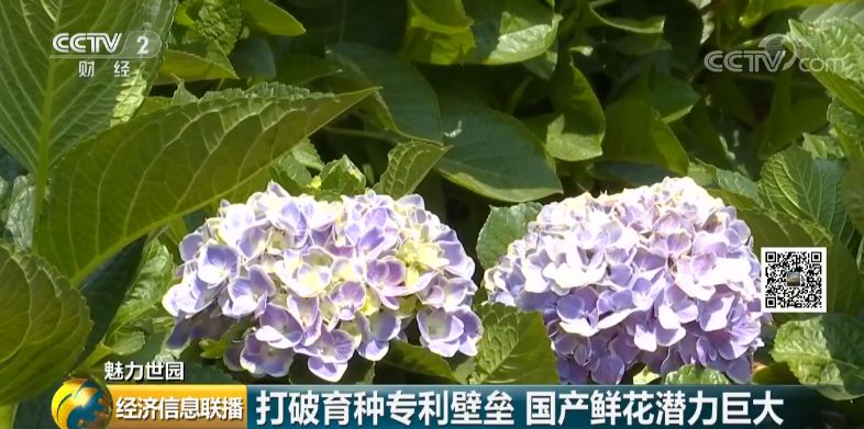 潍坊市一周天气预报评测2