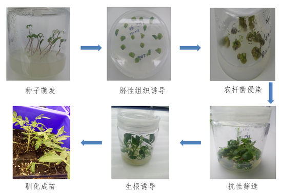 重庆市丰都县天气评测3