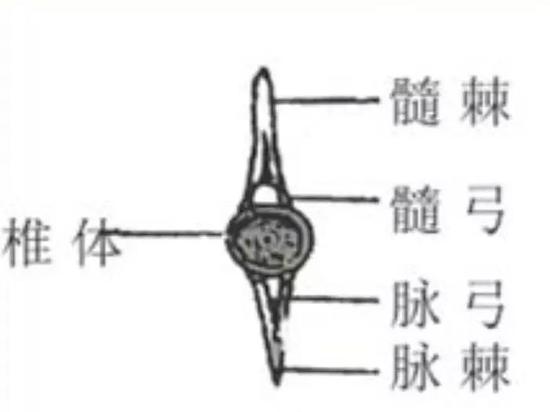 余江天气预报评测1