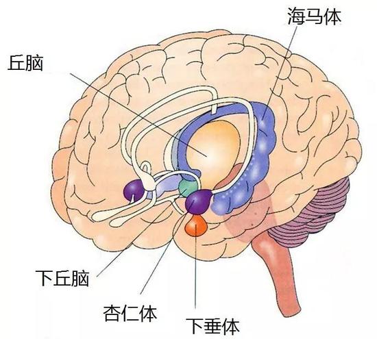 汕头天气预报一周评测3