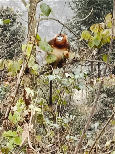 凤台天气评测2