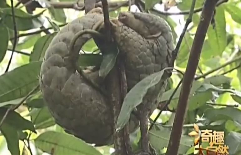 鄱阳天气介绍