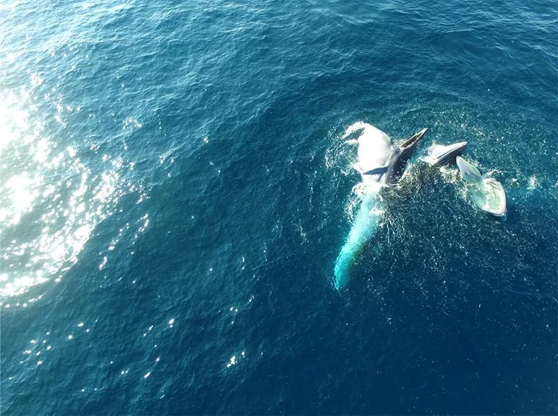 浠水天气2345介绍