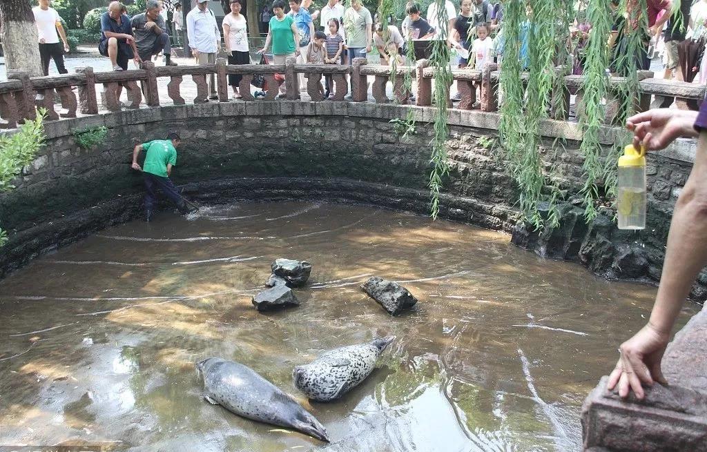 吉林市天气预报介绍